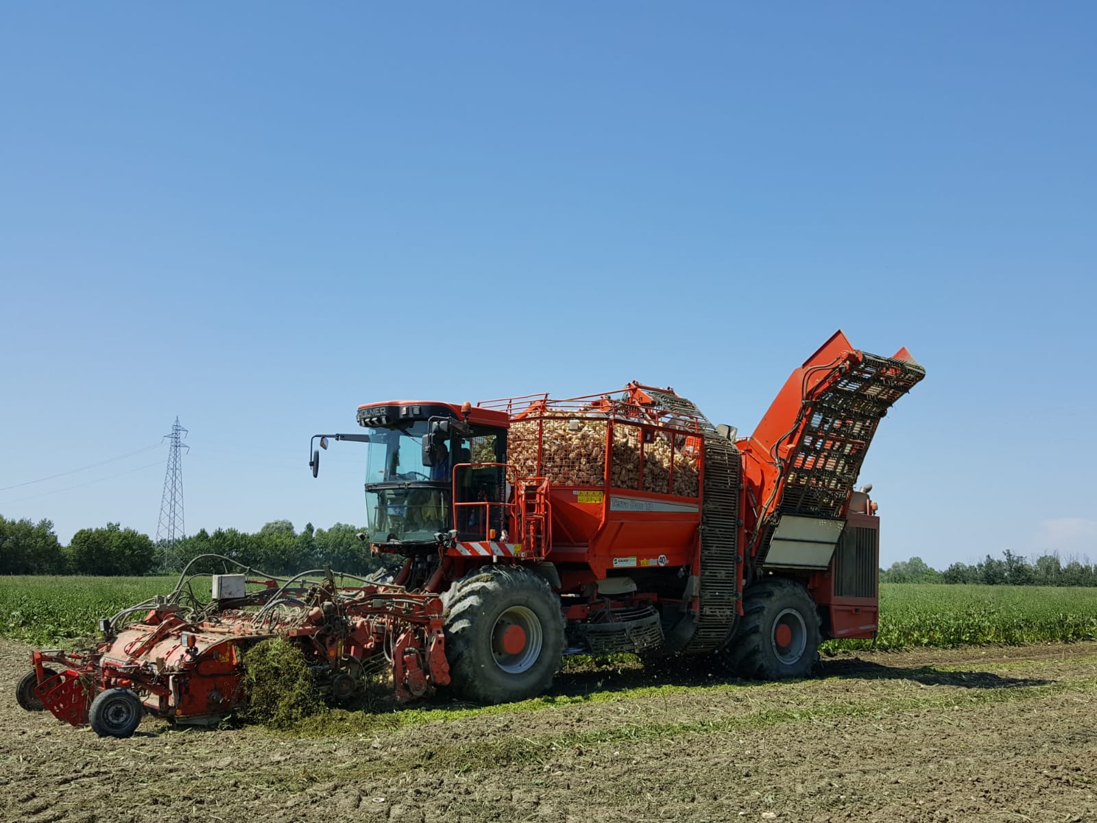 Conclusa la prima campagna di barbabietole da zucchero biologiche