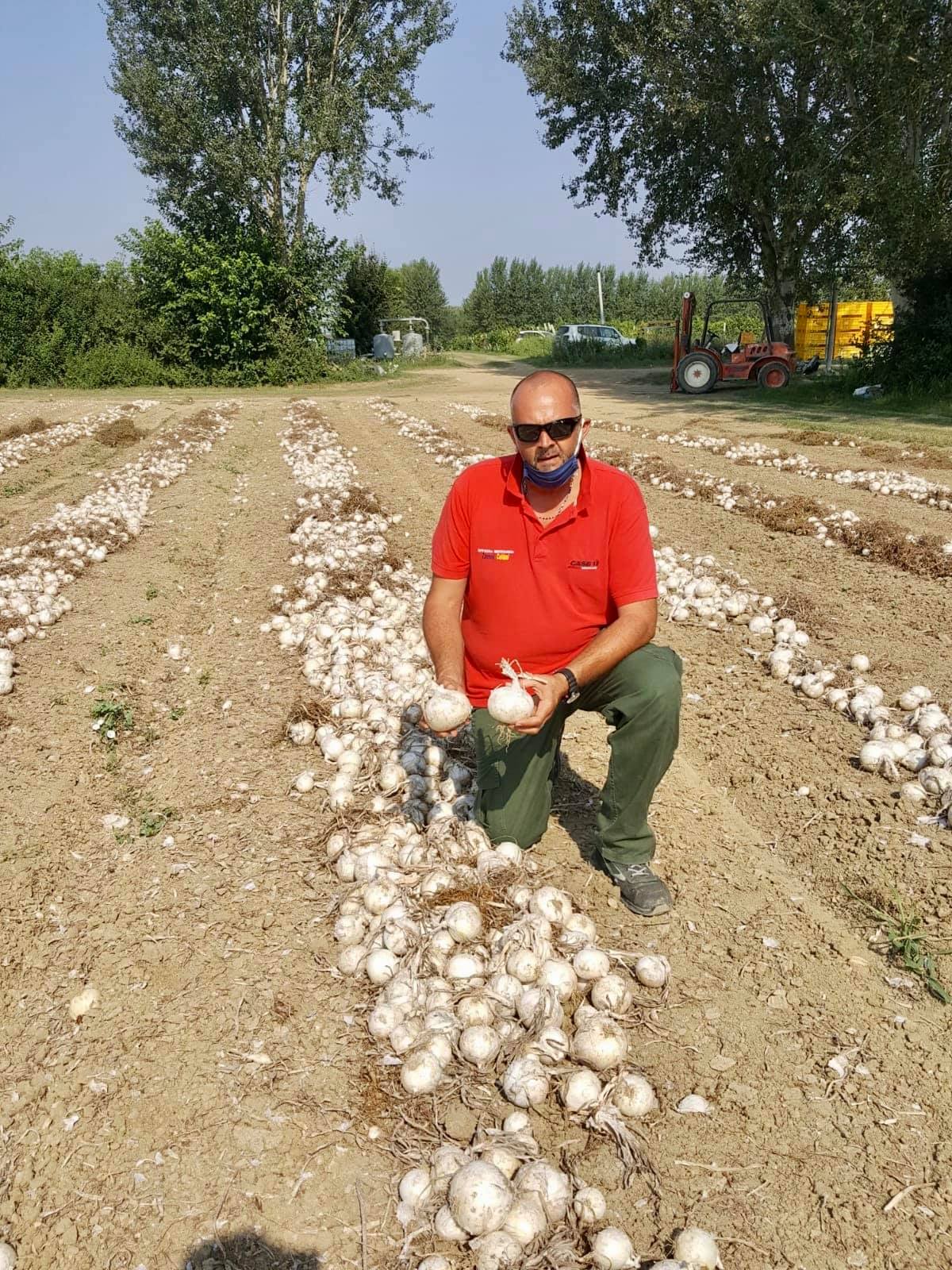 I dati 2020 delle cooperative braccianti di Ravenna presentati all’assessore regionale Mammi