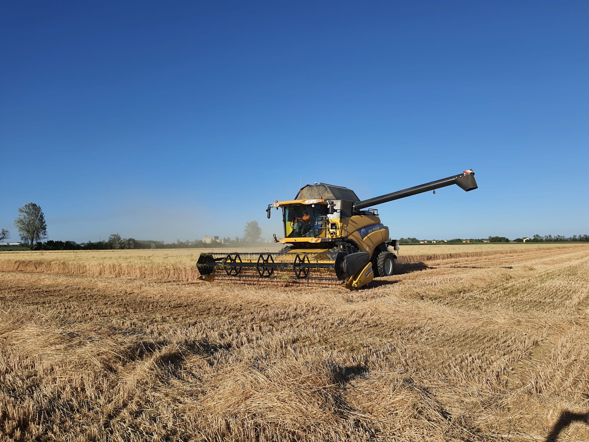 2021, annata positiva per i cereali