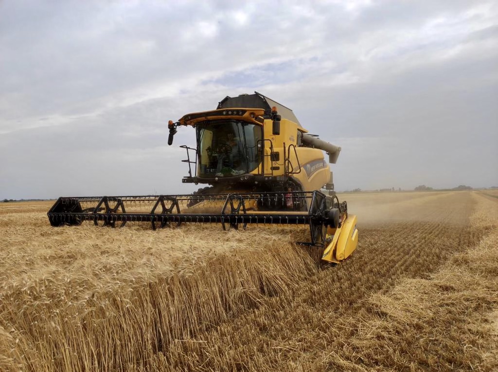Si chiude un’annata complessa per i cereali. Unica eccezione l’orzo.