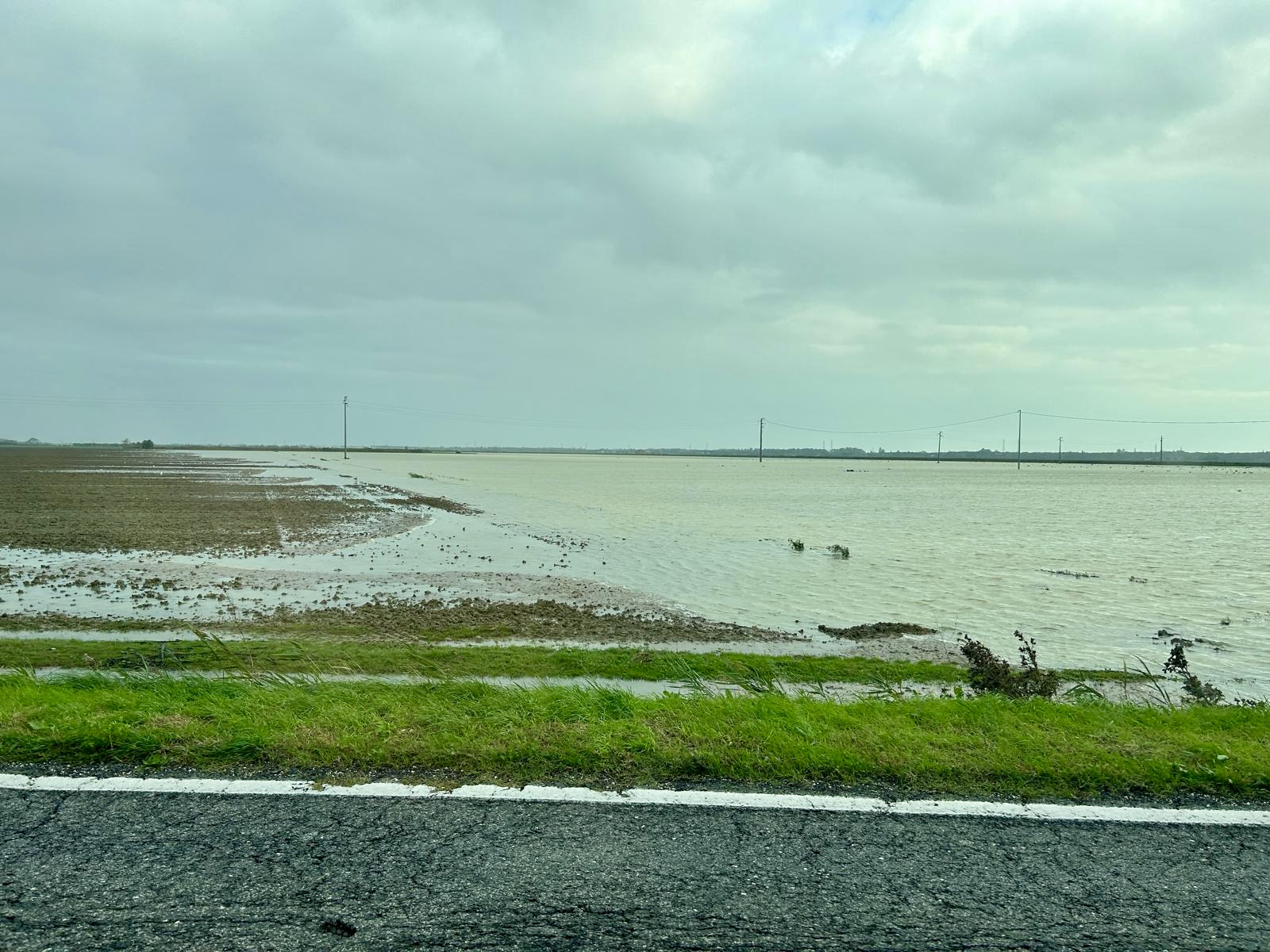 Campi completamente sommersi dall'acqua a perdita d'occhio lungo la strada, nei terreni della CAB Comprensorio Cervese