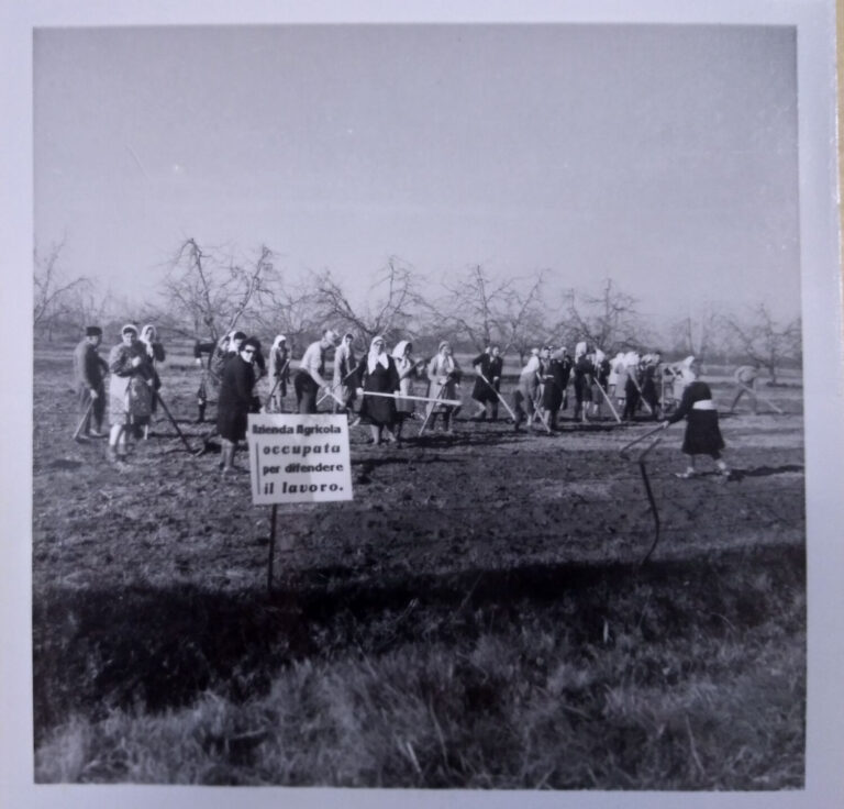 Occupazione dei terreni dell'azienda agricola Bacci a Mezzano, novembre 1969, con cartello 'Azienda Agricola occupata per difendere il lavoro'